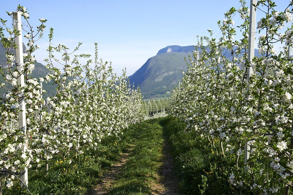 B&B La Casa Del Sole San Michele allʼAdige Eksteriør bilde
